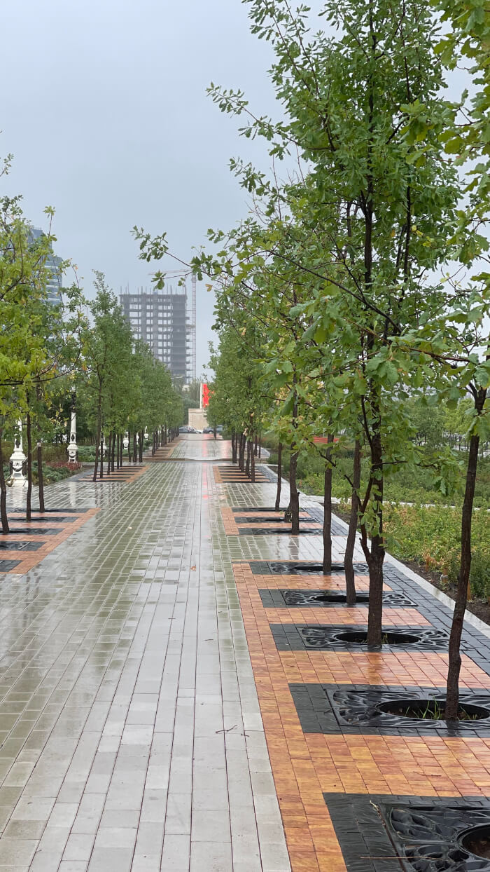 Приствольная решетка для дерева ZKING CRUST 1.2х1.2м Черная в Златоусте фото