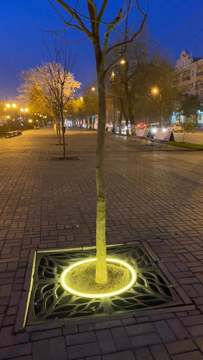 Приствольная решетка для дерева ZKING CRUST 1.2х1.2м Черная в Златоусте фото